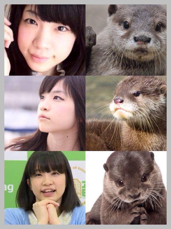 比較画像 諏訪彩花がカワウソに似てる 結婚の匂わせも